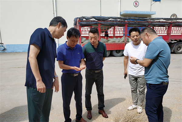 淮南市許林副局長(cháng)調研指導市級儲備小麥輪入工作