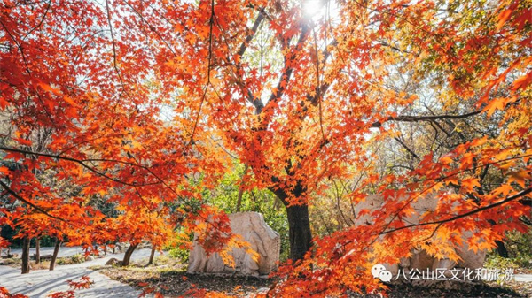 【圖說(shuō)淮南】——八公山風(fēng)景區這個(gè)地方紅了！