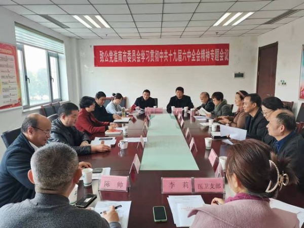 淮南市委會(huì )召開(kāi)學(xué)習貫徹中共十九屆六中全會(huì )精神專(zhuān)題會(huì )議