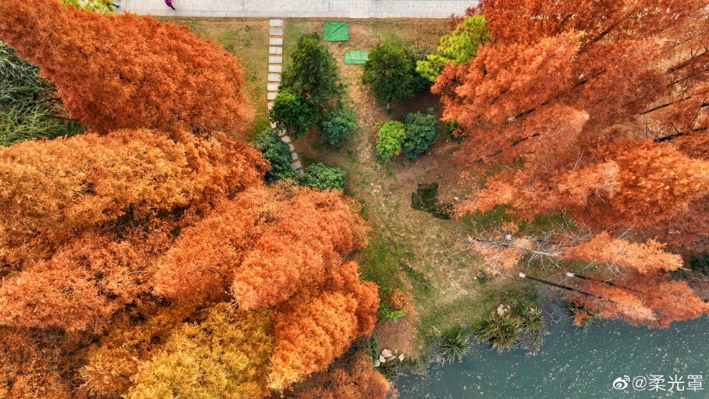 【圖說(shuō)淮南】——淮南龍湖公園的冬天是什么顏色的呢？