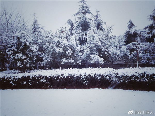 【圖說(shuō)淮南】——2022年淮南第一場(chǎng)雪！來(lái)的遲嗎？