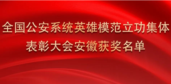 淮南上榜！全國表彰！