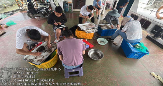 淮南市開(kāi)展淮王魚(yú)保護區資源監測采樣工作
