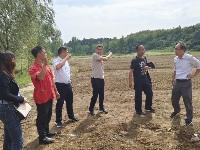 淮南市農科院扎實(shí)推進(jìn)科技特派員工作--助力明光市草莓種植發(fā)展